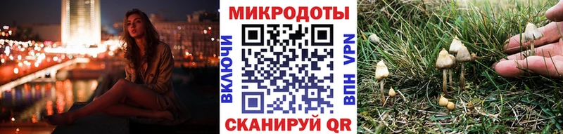 Купить закладки  Льгов  Галлюциногенные грибы GOLDEN TEACHER 