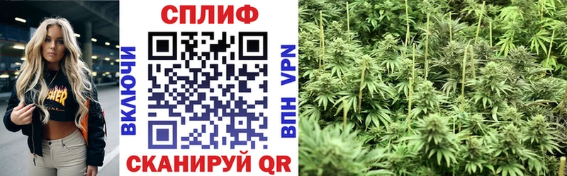 Купить закладки  Льгов  Конопля марихуана 